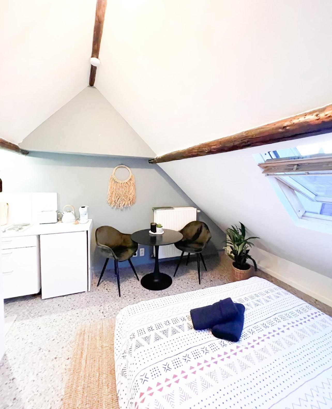 Appartement Antwerp Studio'S Extérieur photo